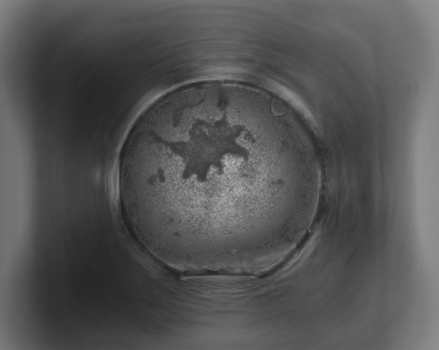 X0000101651275200807171245