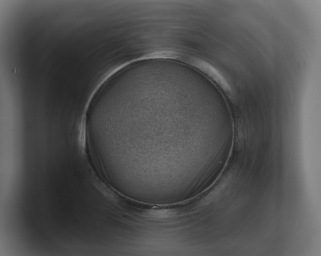 X0000101651276200807171245