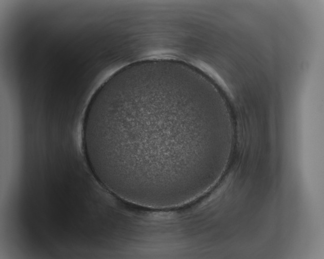 X0000101651277200807171245