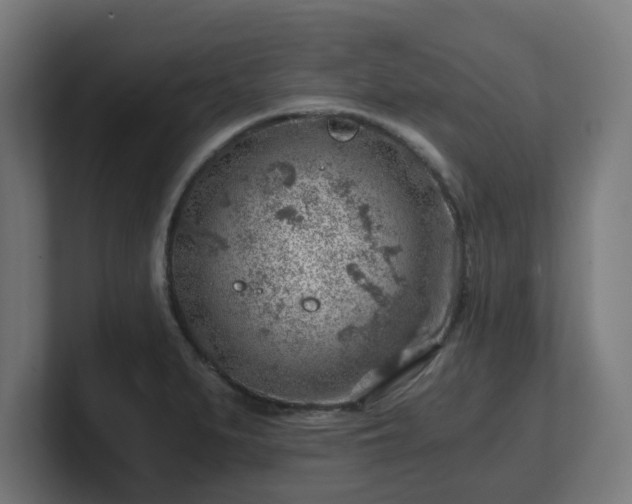 X0000101651279200807171245