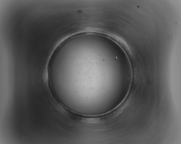 X0000101651280200807171245