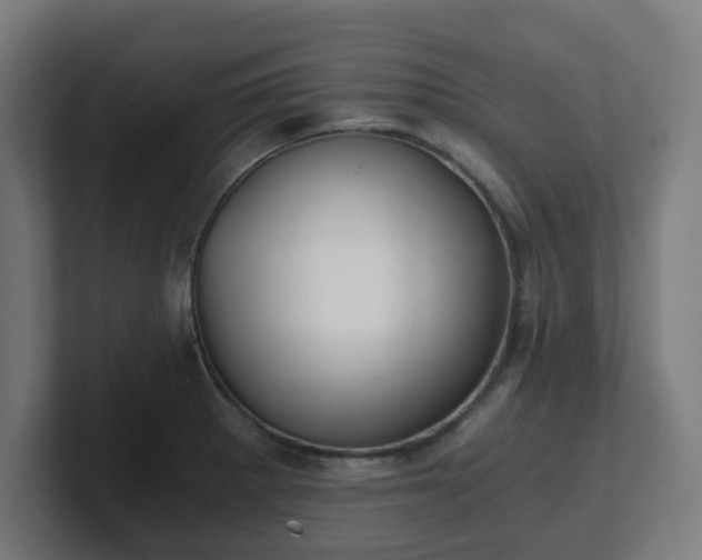 X0000101651281200807171245