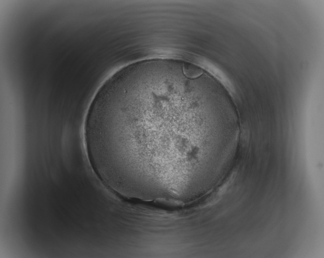 X0000101651283200807171245