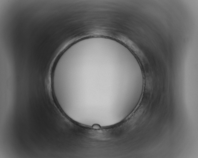 X0000101651286200807171245