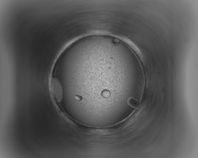 X0000101651287200807171245