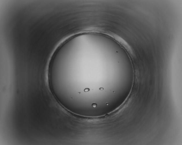 X0000101651288200807171245