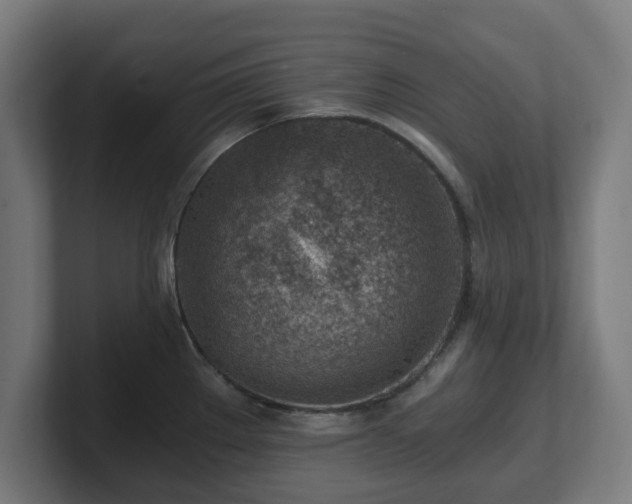 X0000101651289200807171245