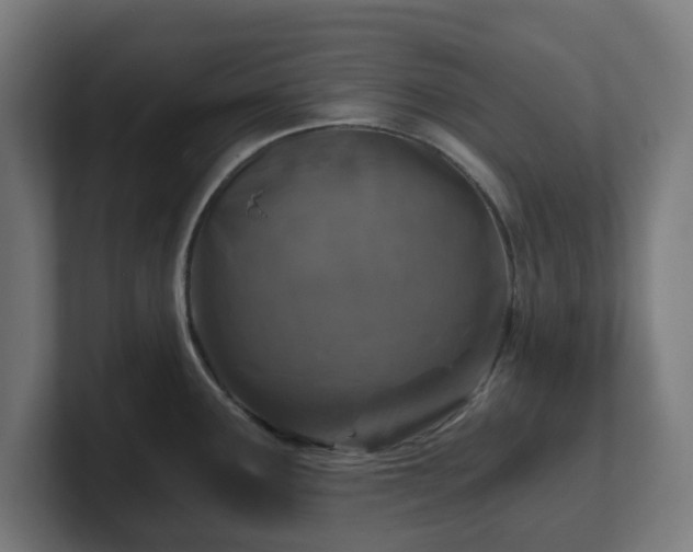 X0000101651291200807171245