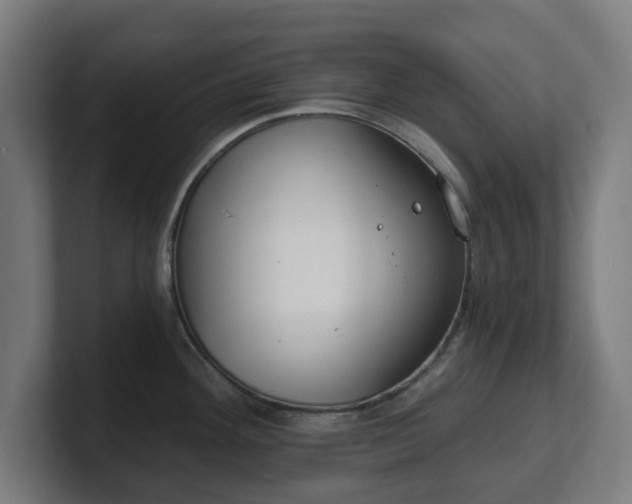 X0000101651292200807171245