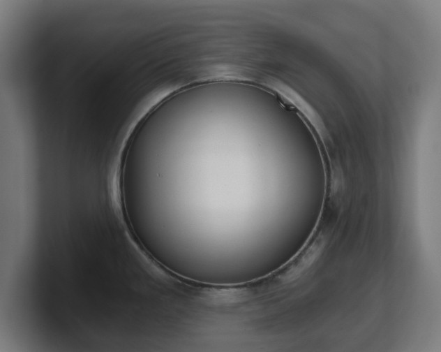 X0000101651293200807171245