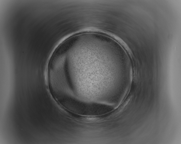 X0000101651295200807171245