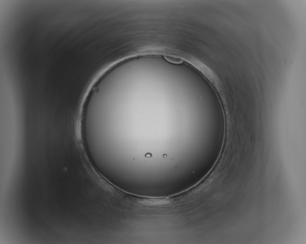 X0000101651296200807171245