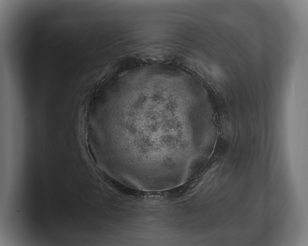 X0000101651297200807171244