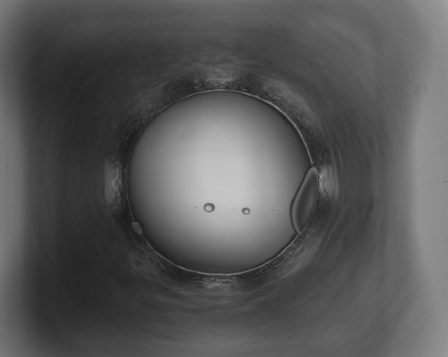 X0000101651299200807171244