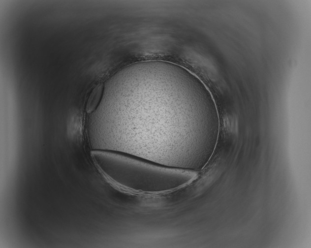 X0000101651300200807171244