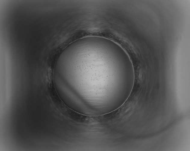 X0000101651301200807171244