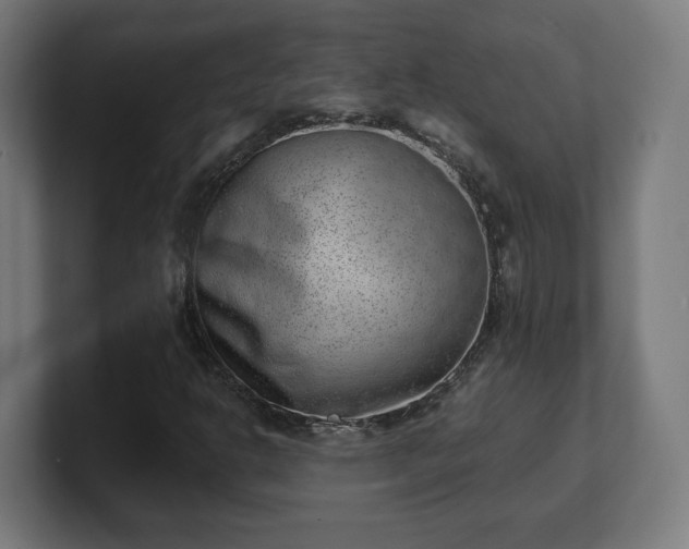 X0000101651302200807171244