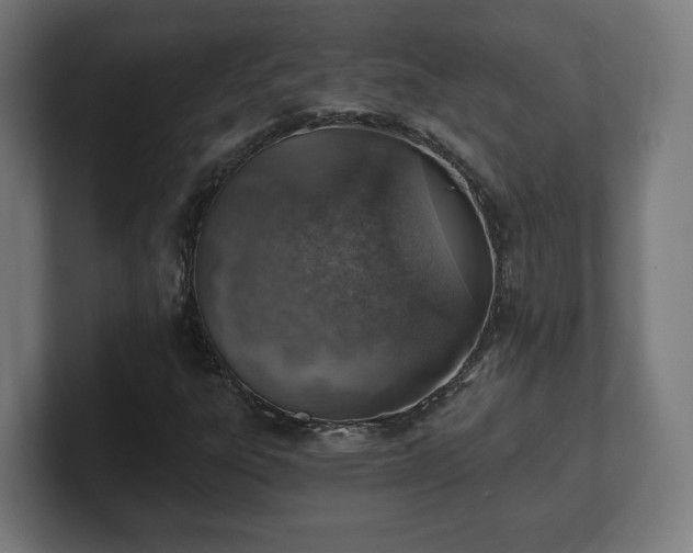 X0000101651303200807171244