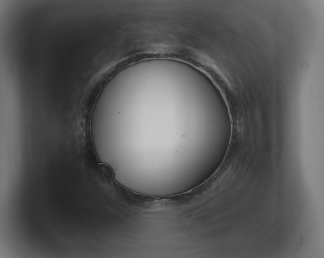 X0000101651304200807171244