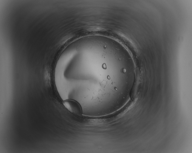 X0000101651305200807171244