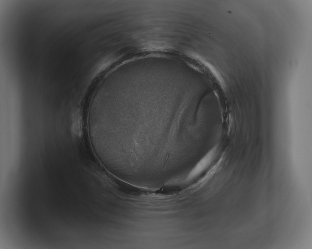 X0000101651306200807171244