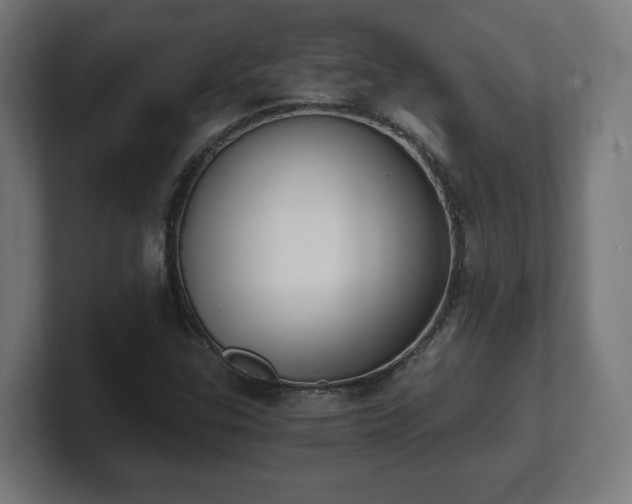 X0000101651307200807171244