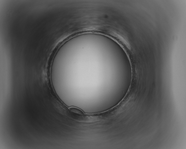 X0000101651308200807171244