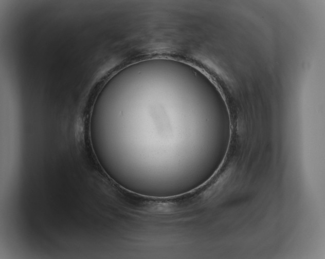 X0000101651309200807171244