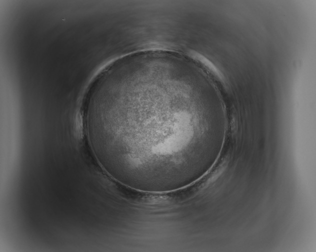 X0000101651310200807171244