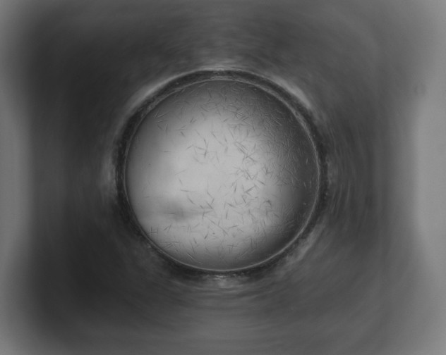 X0000101651311200807171245