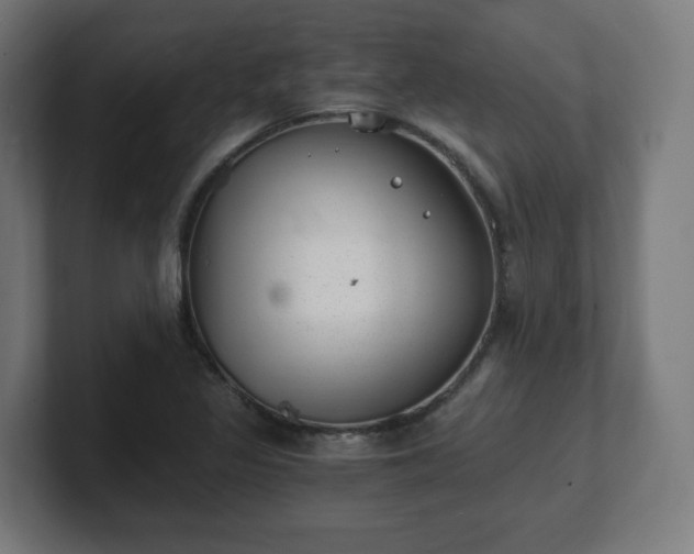 X0000101651317200807171245