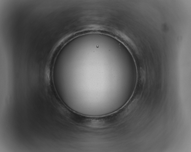 X0000101651318200807171245