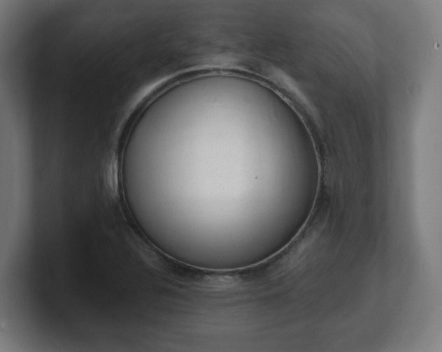 X0000101651320200807171245