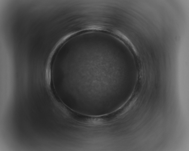 X0000101651323200807171245