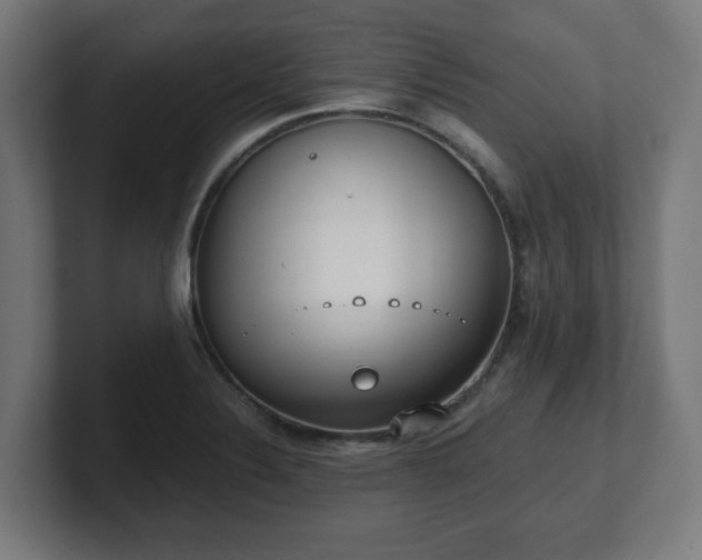 X0000101651324200807171245