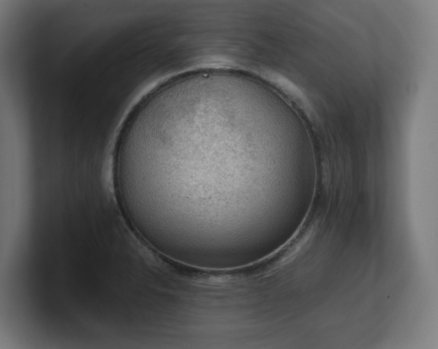 X0000101651326200807171245