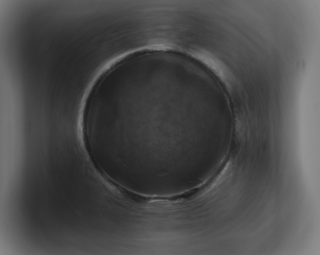 X0000101651327200807171245