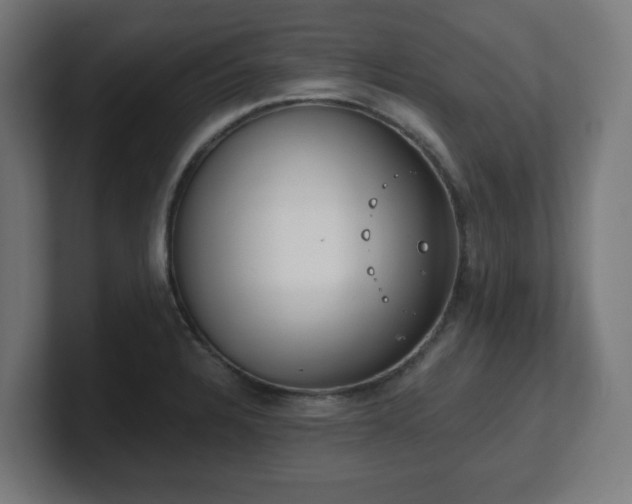 X0000101651328200807171245