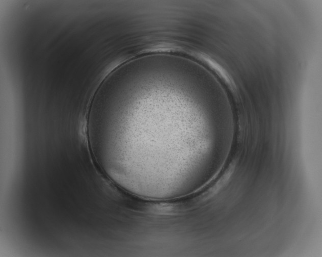 X0000101651329200807171245