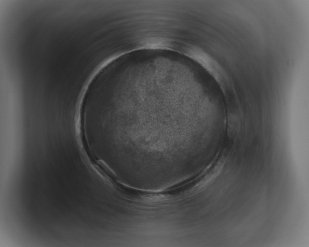 X0000101651331200807171245