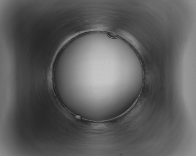 X0000101651332200807171245