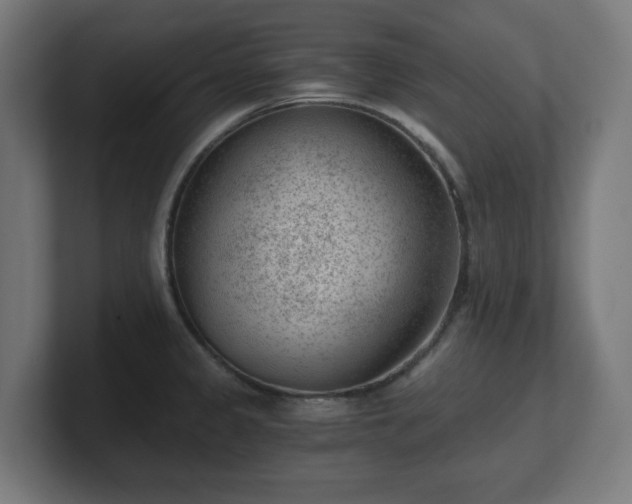 X0000101651333200807171245