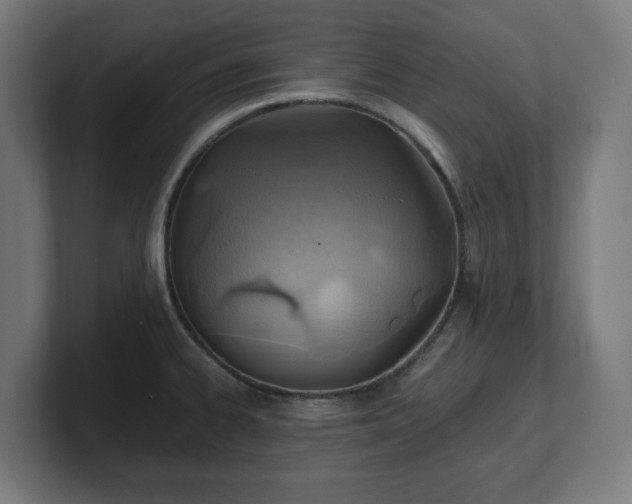 X0000101651334200807171245