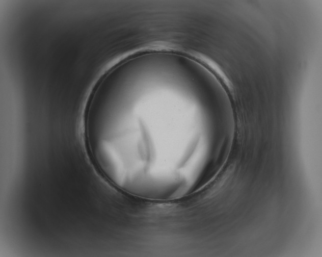 X0000101651335200807171245