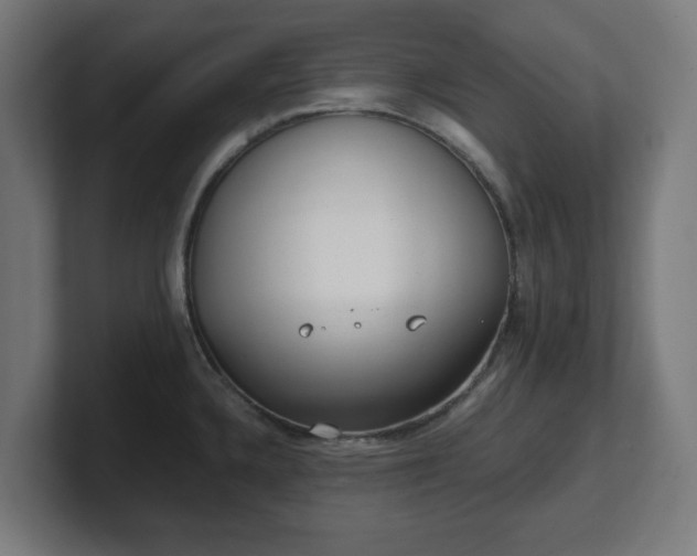 X0000101651336200807171245