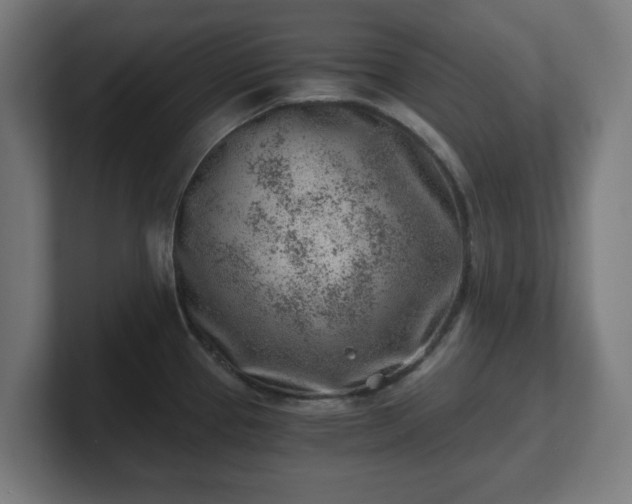 X0000101651337200807171245