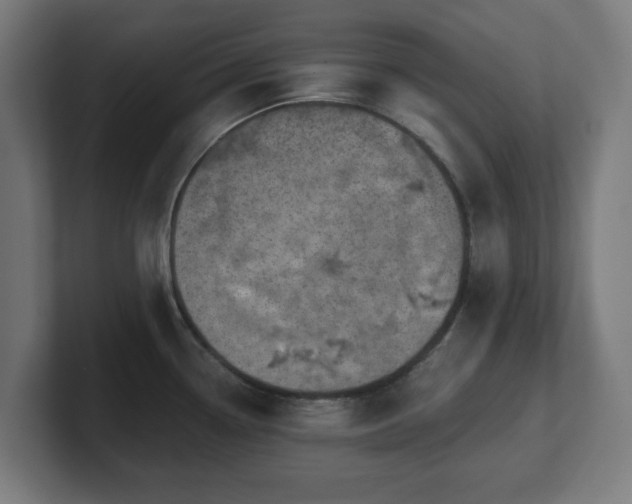 X0000101651338200807171245