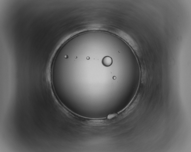 X0000101651342200807171245