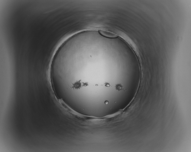 X0000101651344200807171245