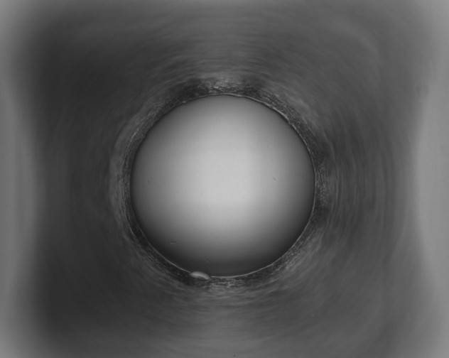 X0000101651345200807171244